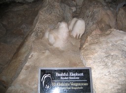 Carlsbad Caverns img_0097