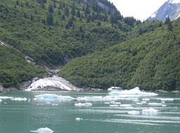 Glacier Chunks and boat img_2518