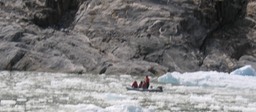 Small boat amidst Glacier Chunks img_2535