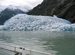 Iceberg img_2541