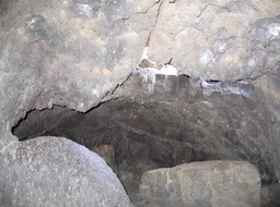 Inside Cave img_2753