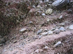Rocks on path img_3228