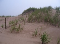 Sand dunes img_3249