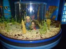 Thomas/Dorothy/Chattanooga Aquarium p1000089