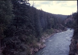 Animus River