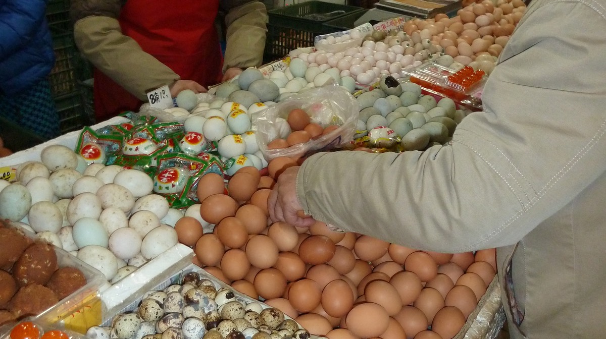 Eggs P1020130