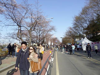 P1030603