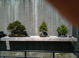 IMG_0051