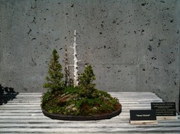 IMG_0059