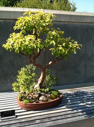 IMG_0065