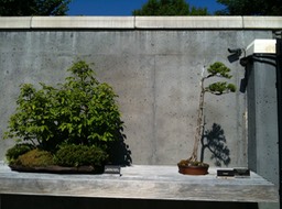 IMG_0066