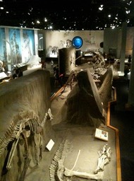 Exhibits img_0181