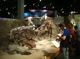 Exhibits img_0184