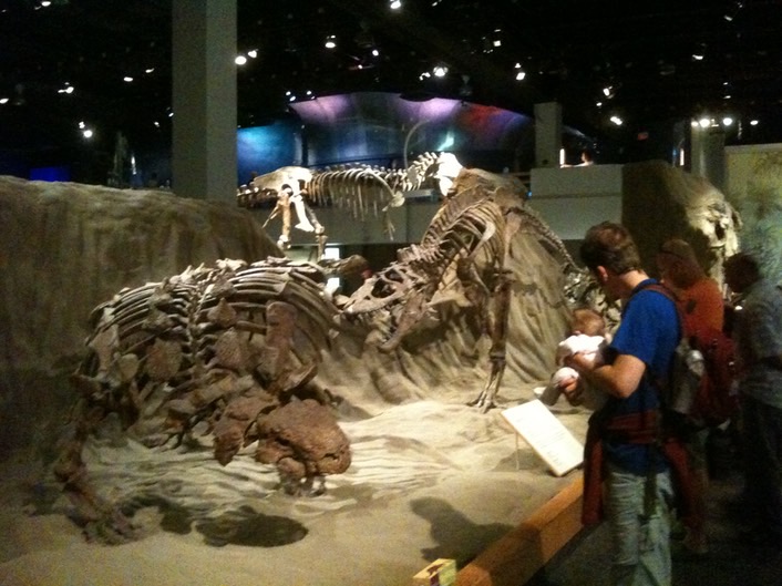 Exhibits img_0184