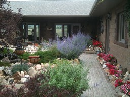 Yard img_0202
