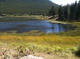 Lake img_0221