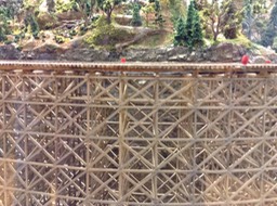 IMG_0391