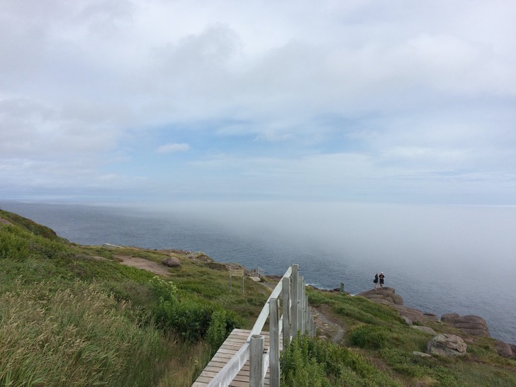 IMG 0542