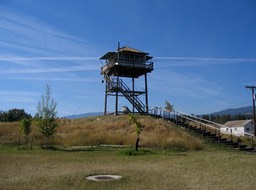 img_0559_med