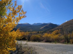 img_0602_med