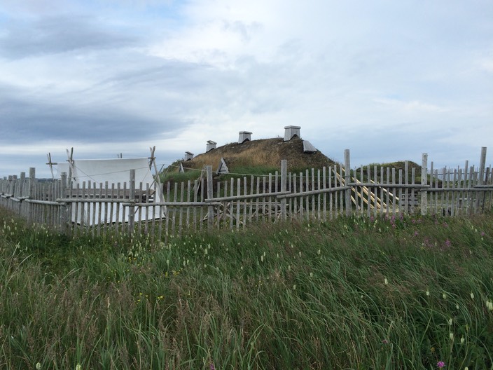 IMG 0635