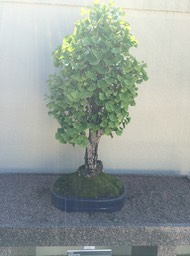 IMG_0740