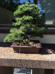 IMG_0750