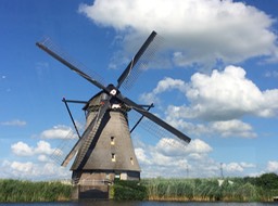 IMG_0936