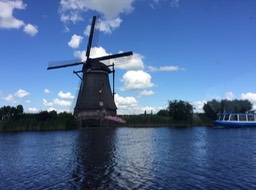 IMG_0939