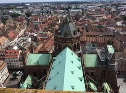 IMG_1232