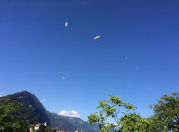 IMG_1339