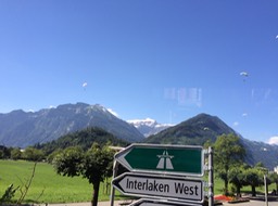 IMG_1341