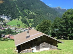 IMG_1349