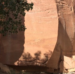 IMG_1598