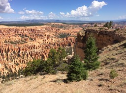 IMG_1607