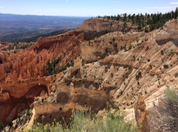 IMG_1611