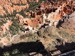 IMG_1615