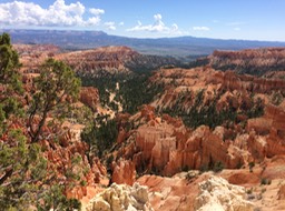 IMG_1622
