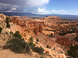 IMG_1646