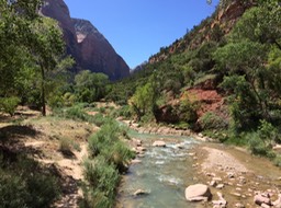 IMG_1666