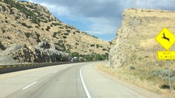 IMG_1736