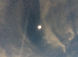 IMG_1763