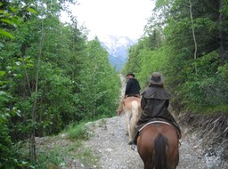 Leader on trail img_1919