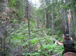 Trail view img_1931