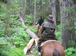 Trail view img_1932