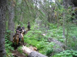 Trail view img_1933