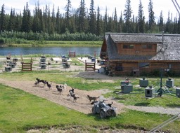 Sled dogs img_2021