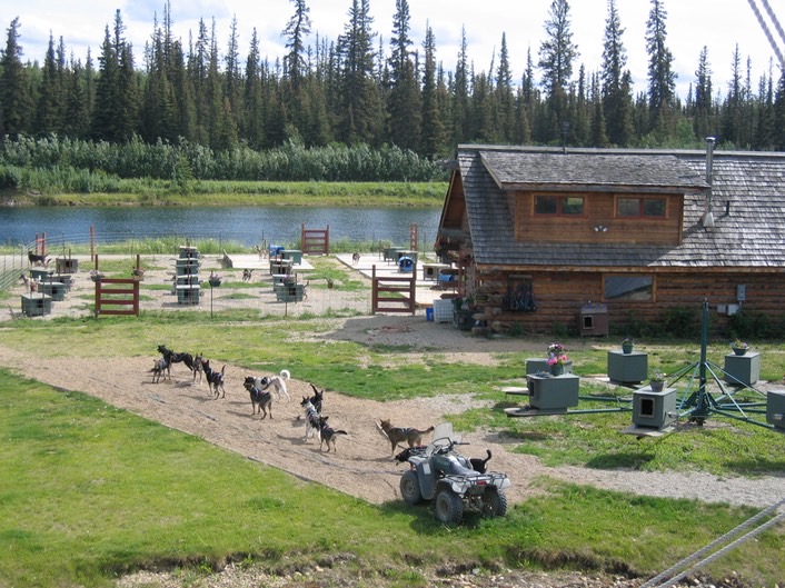 Sled dogs img_2021