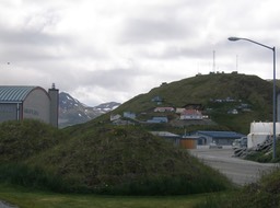 Hillside img_2079