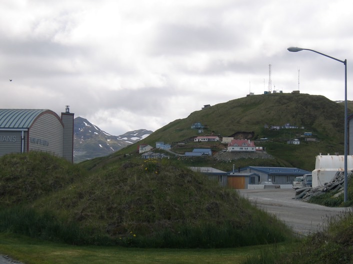 Hillside img_2079